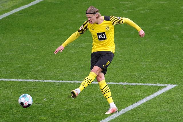 这家欧洲青 这家欧洲青